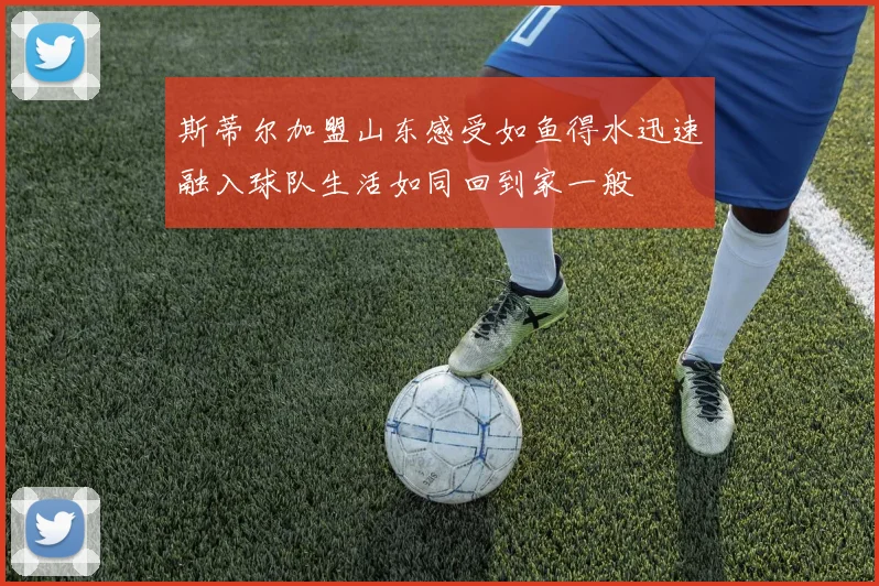 斯蒂尔加盟山东感受如鱼得水迅速融入球队生活如同回到家一般