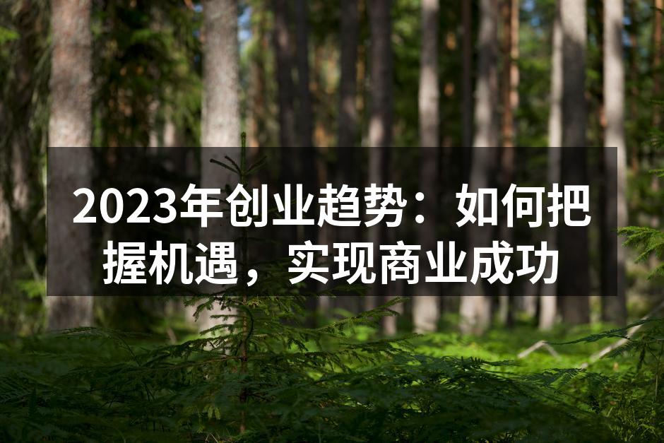 2023年创业趋势：如何把握机遇，实现商业成功